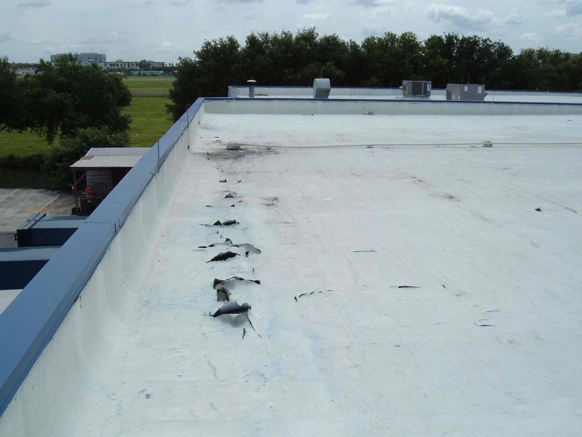 flat roof